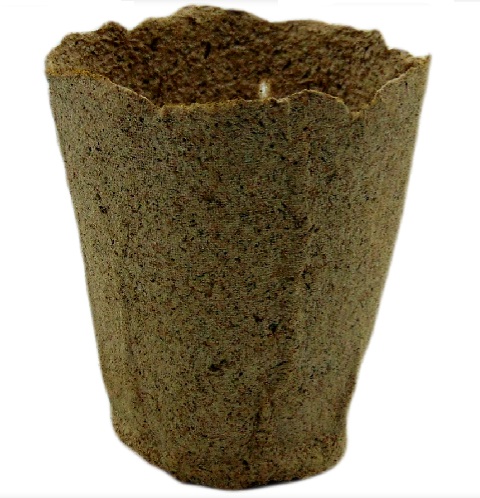 ������ ����`���� 80�80�� 1��