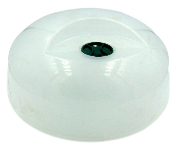 ������ ��� ��� 25�� � �������� ���� �����