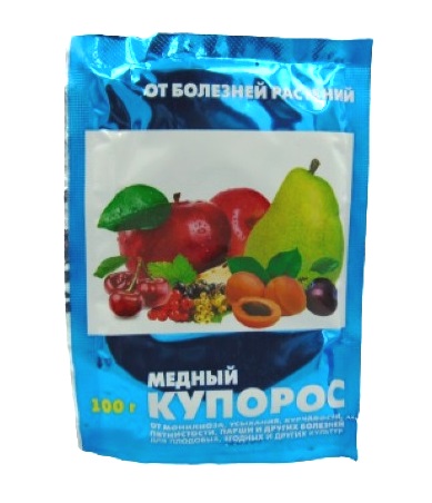 ̳���� ������� 100� �������