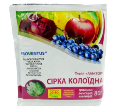 �������� ���� Proventus 80� 