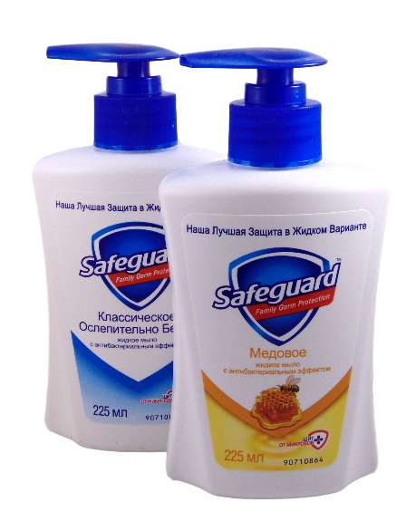 ���� ���� Safeguard 225��(�������� ���)