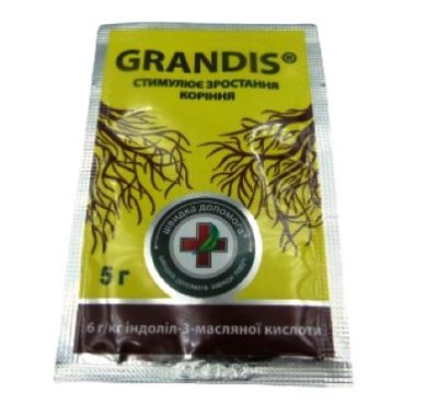 ������� ������� GRANDIS 5�