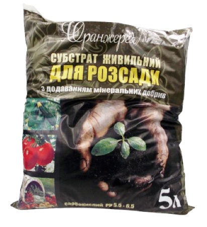 ����� ��� ������� ��������� 5�