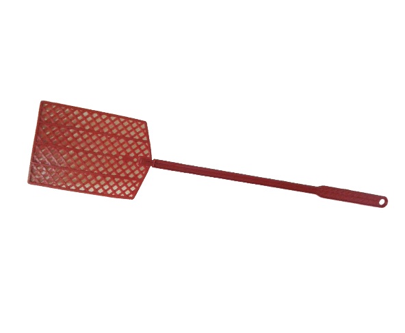 �������� ���� ��������