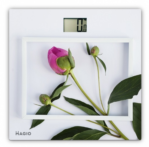 ���� ���������� Magio MG-813 150�� ��-�������, ����