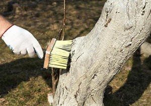 ������� ��������