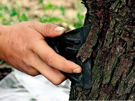 ������� ��������