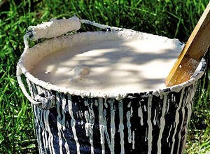 ������� ��������