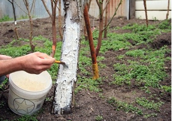 ������� ��������