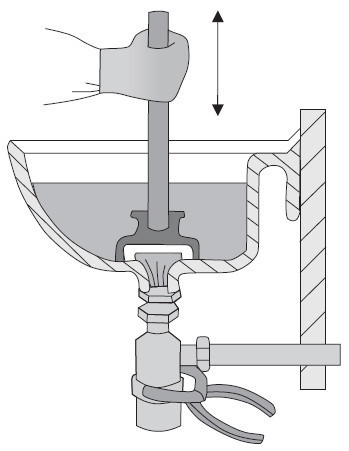 ��������� ��������